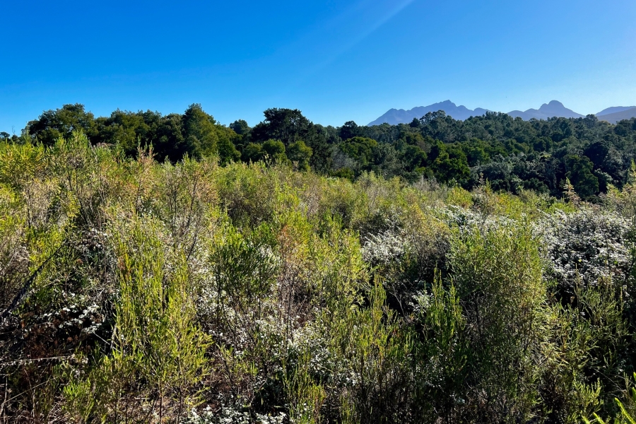  Bedroom Property for Sale in Wilderness Heights Western Cape